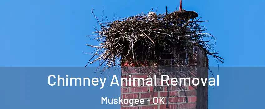 Chimney Animal Removal Muskogee - OK