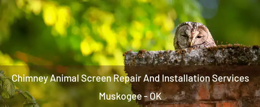  Chimney Animal Screen Repair And Installation Services Muskogee - OK