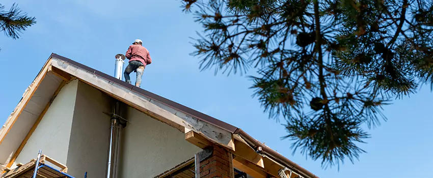 Birds Removal Contractors from Chimney in Muskogee, OK