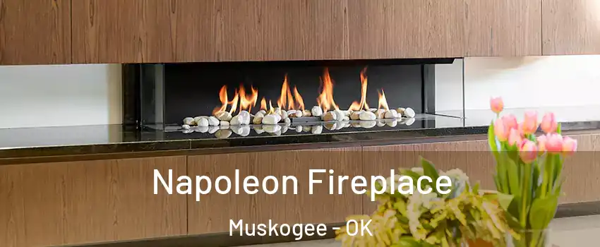  Napoleon Fireplace Muskogee - OK